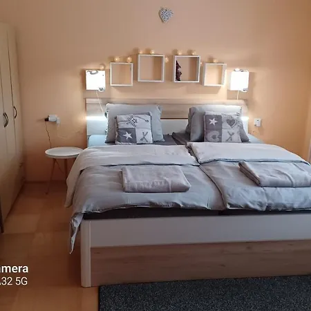 Apartment 81