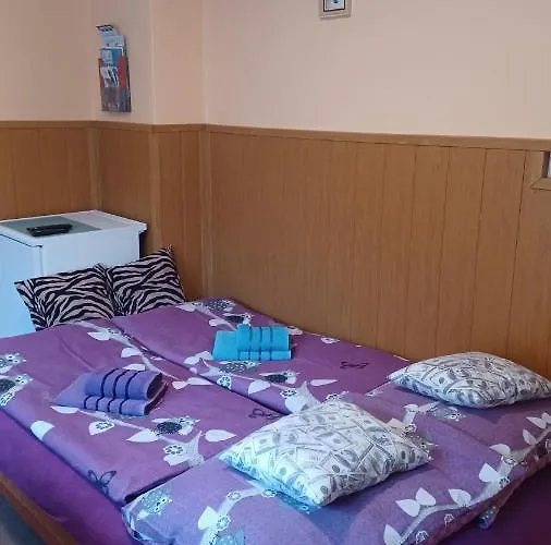 Apartmán 81 *